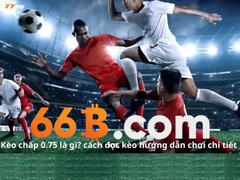 Giới thiệu về 66b
