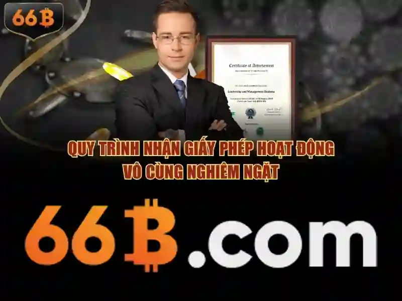 66B là gì?