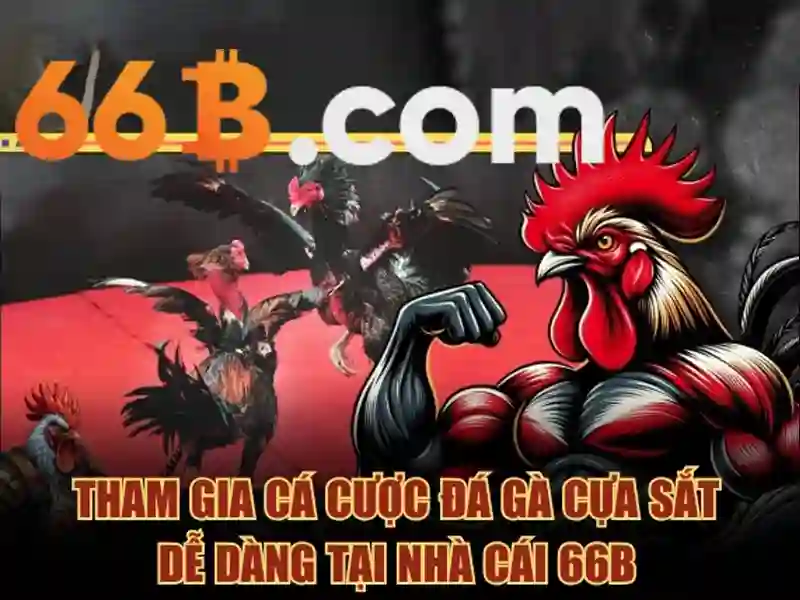66b là gì