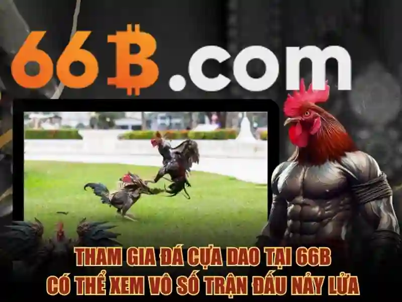 66B: một mô hình ngôn ngữ lớn và những tiềm năng