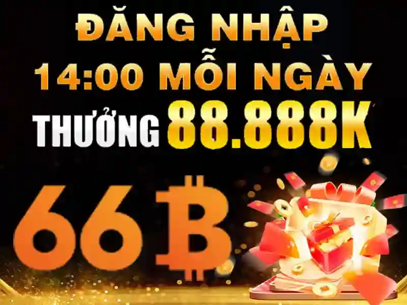 66B là gì