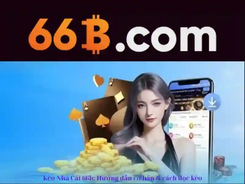 66b – một cái nhìn tổng quan