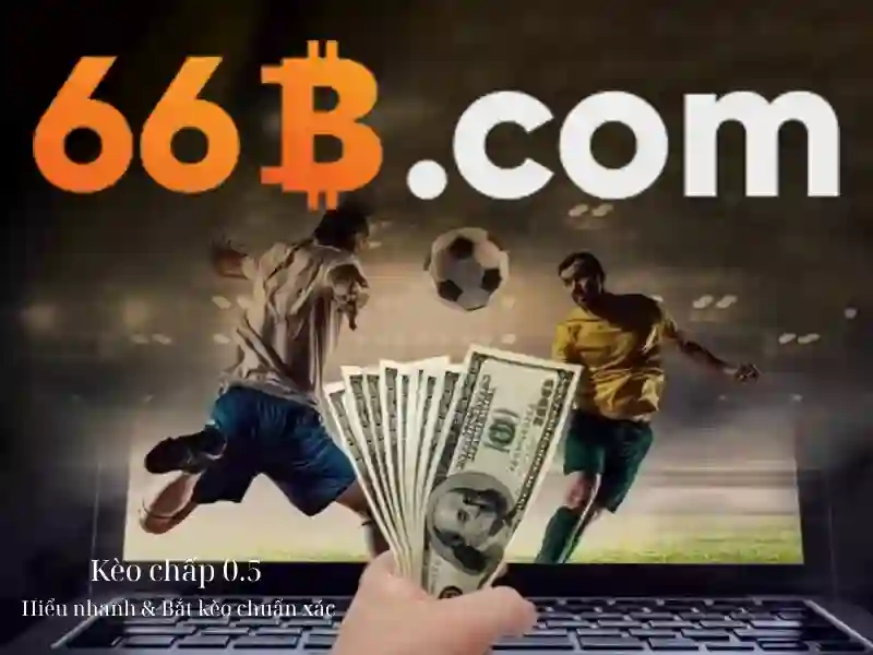 66b trong văn hóa mạng